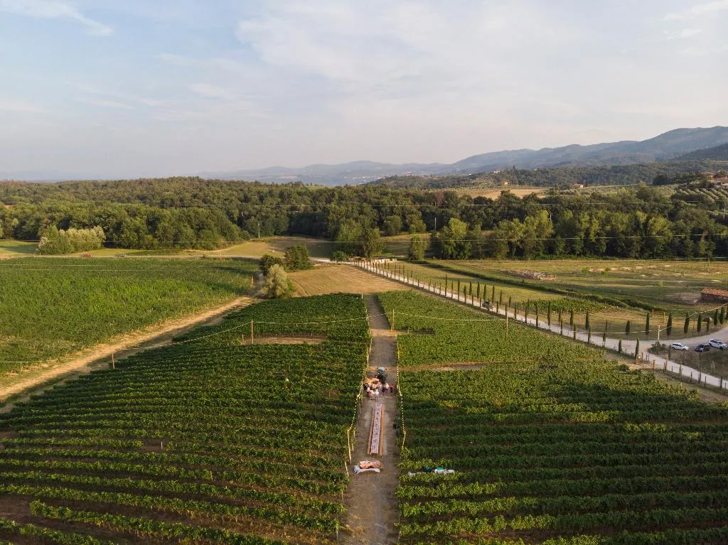 General view, Agriturismo Fattoria La Palagina, Florence