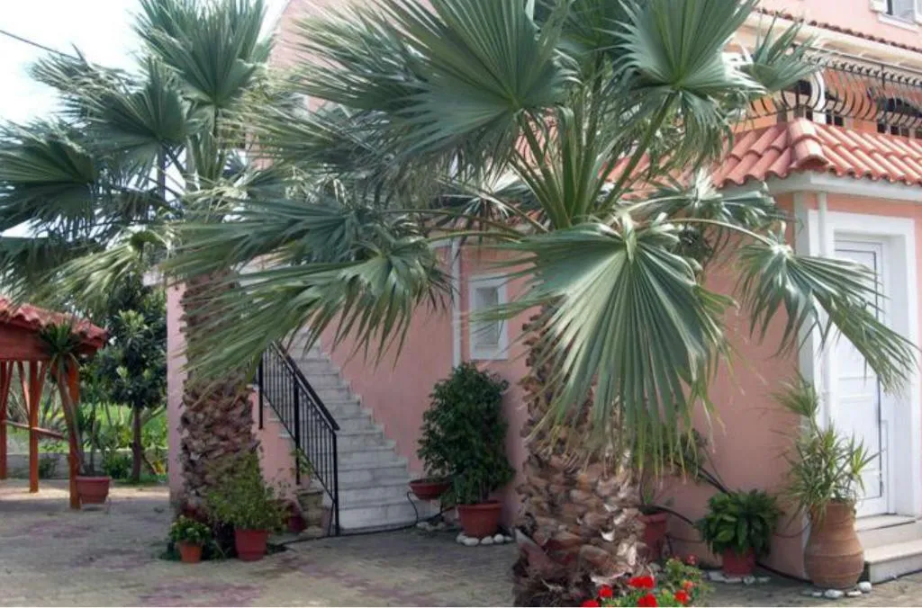 General view, Katerina Studios, Kefallinia