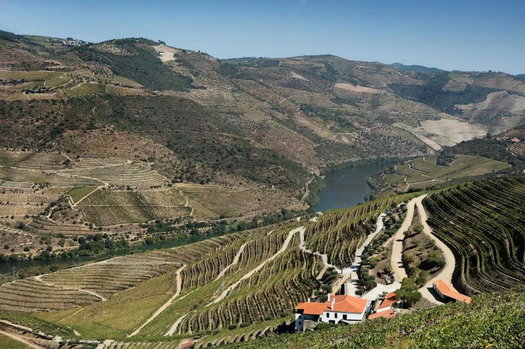 General view, Quinta Da Gricha, Porto