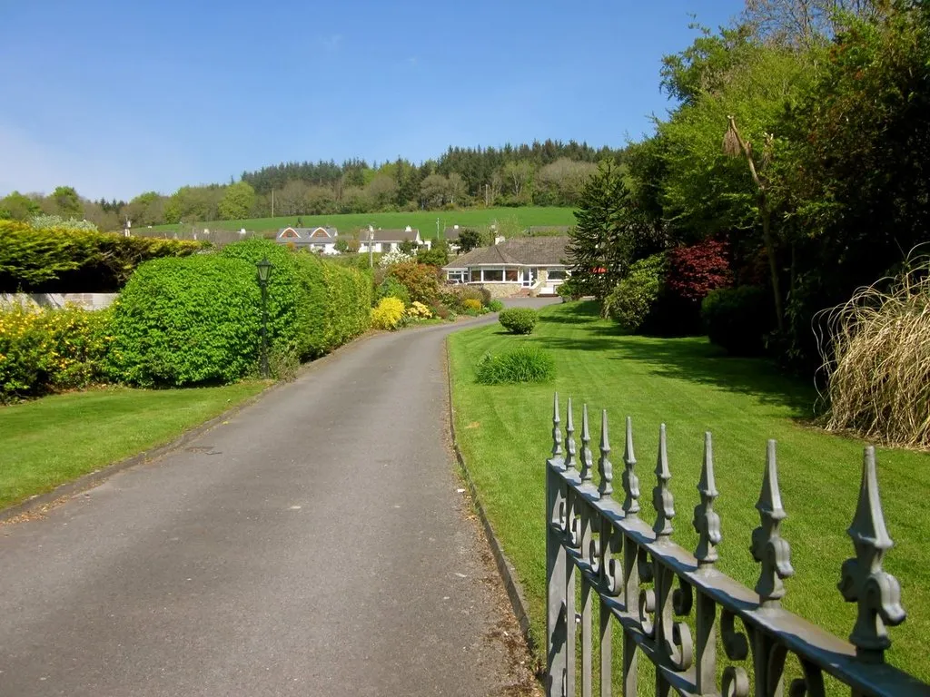General view, Pine Forest House, Cork