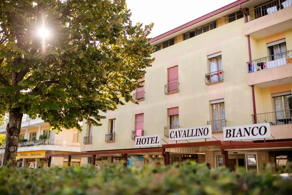 Terrace, Hotel Cavallino Bianco, Venice