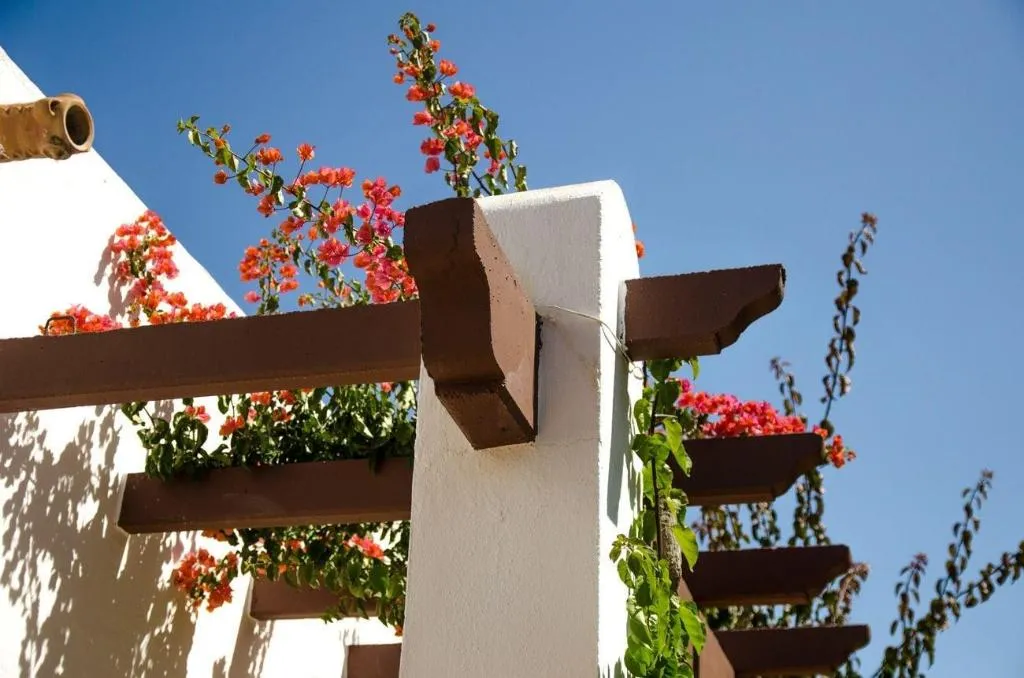 General view, Marazul, Costa Almeria