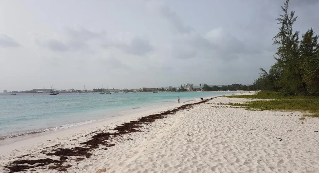 Beach, Island Inn, Barbados