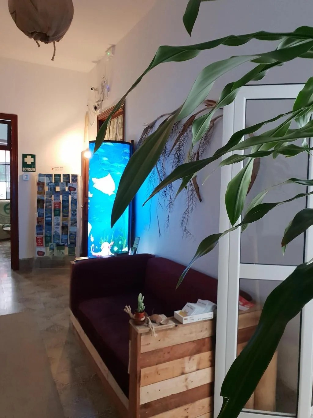 Room, Cactus Host, Gran Canaria