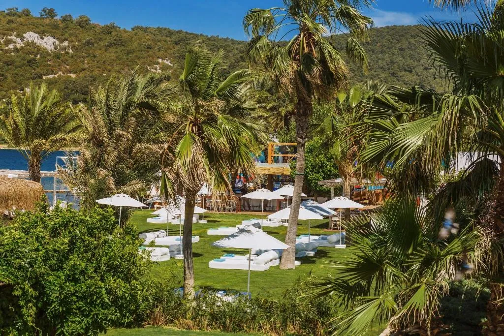 Terrace, Flamm, Bodrum