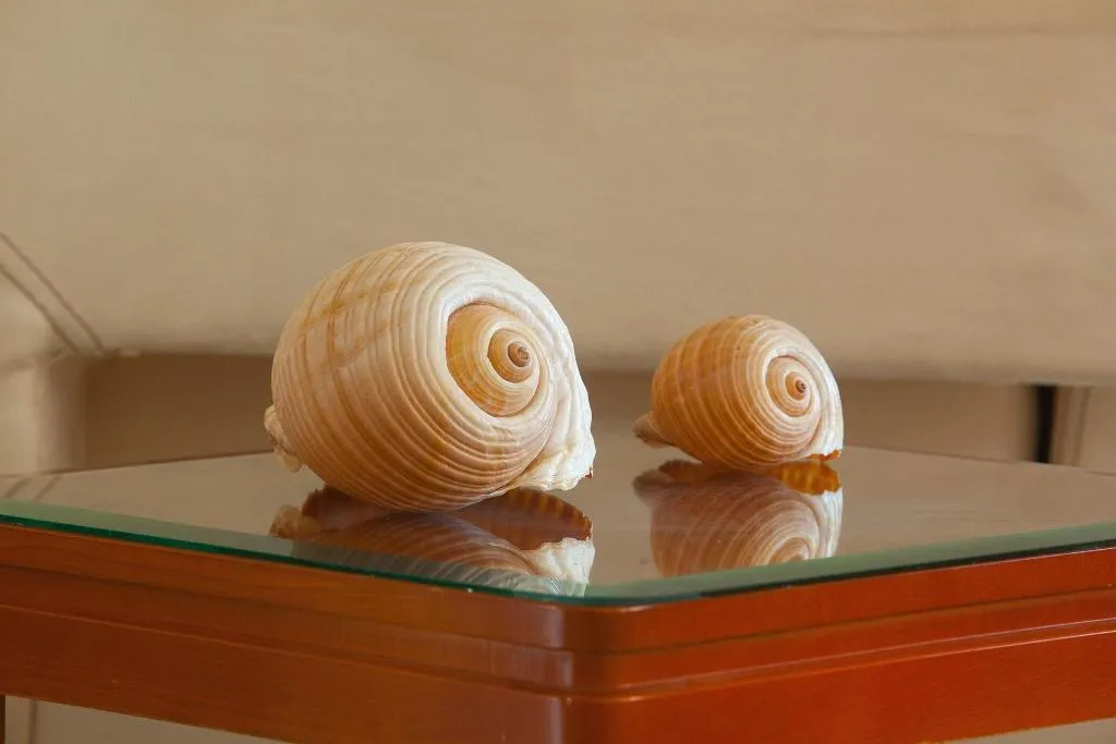 Lobby, Pavlos, Kos