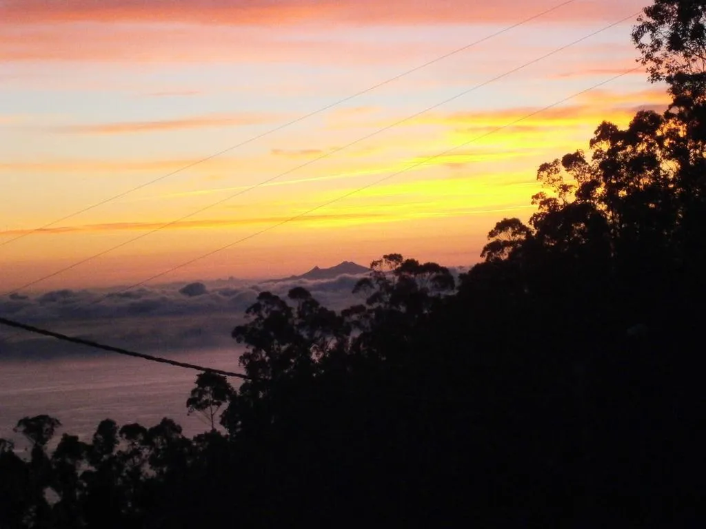 General view, Casa Das Proteas, Madeira