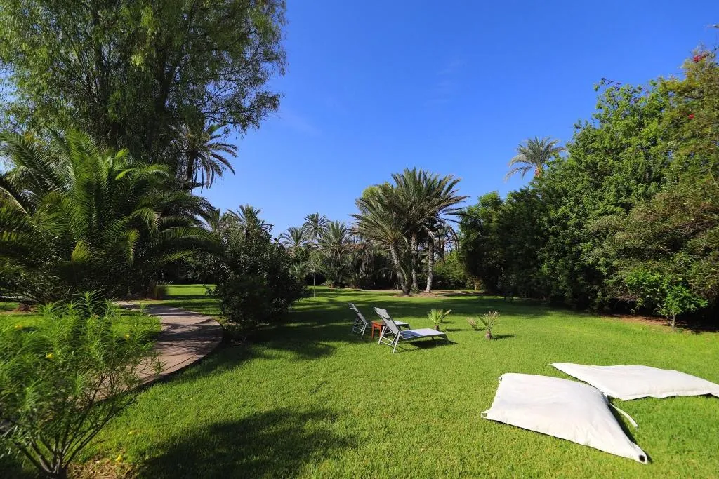 Sports and Entertainment, Villa al Assala Palmeraie, Marrakech