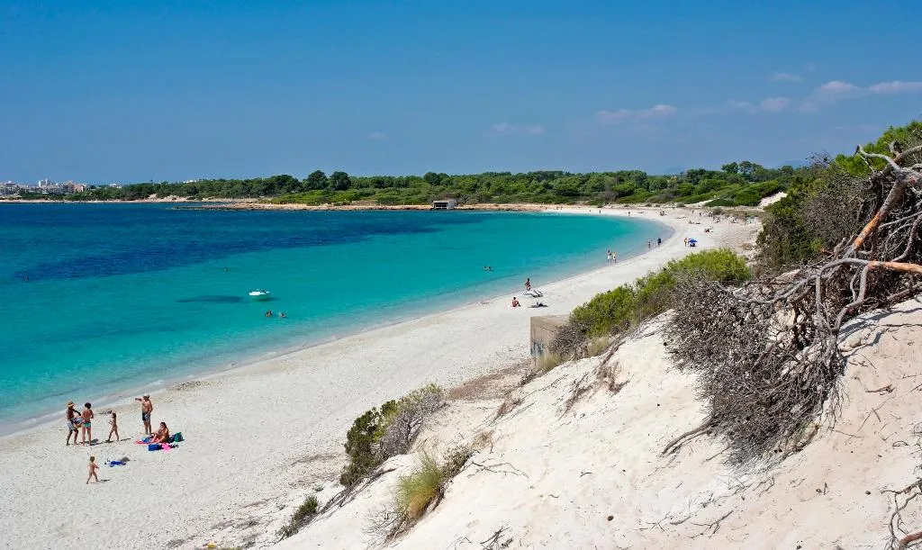 Beach, Aparthotel Isla de Cabrera, Majorca