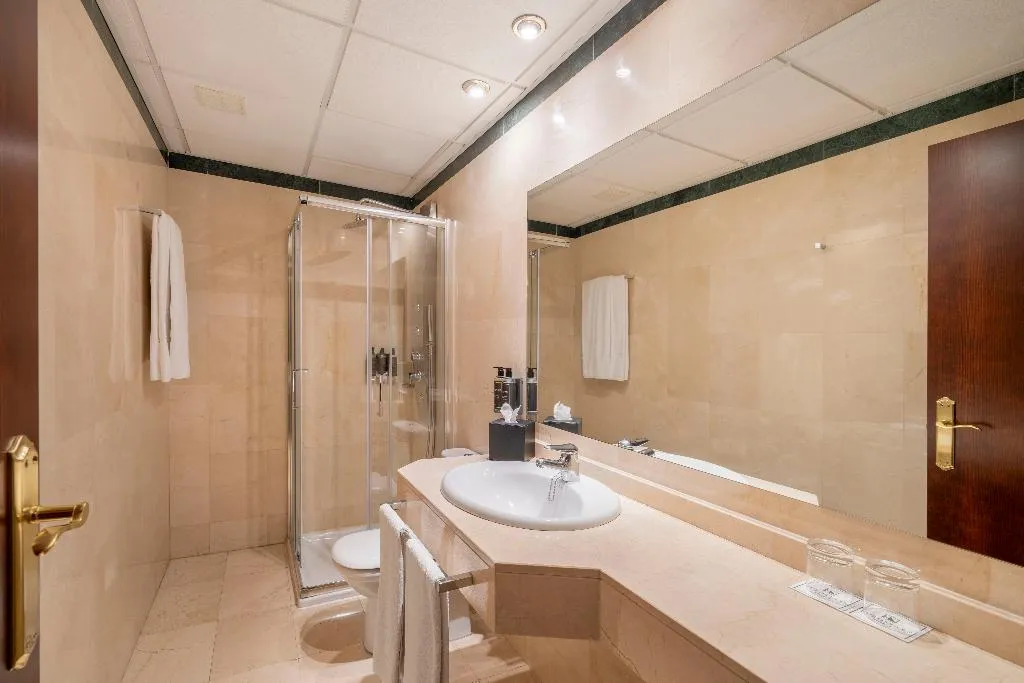 SINGLE STANDARD Room, Eurostars Plaza Acueducto, Madrid