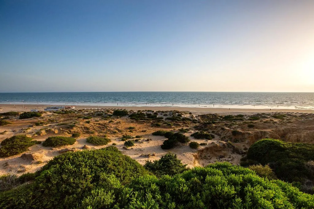 Beach, Hipotels Barrosa Palace, Costa De La Luz