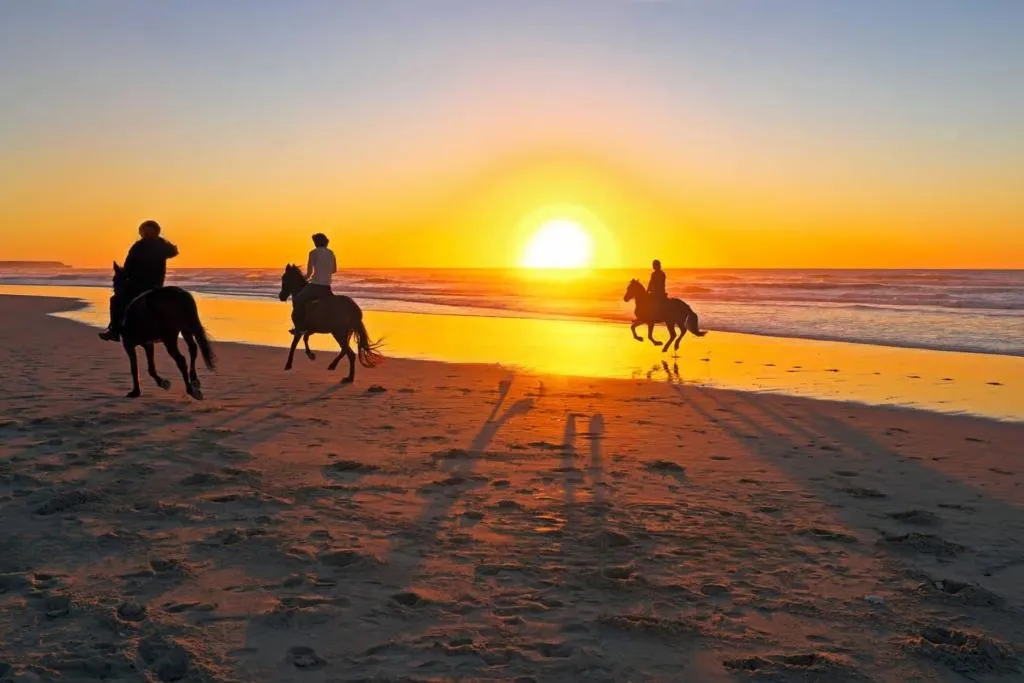 Beach, Art Palace Suites & Spa, Casablanca