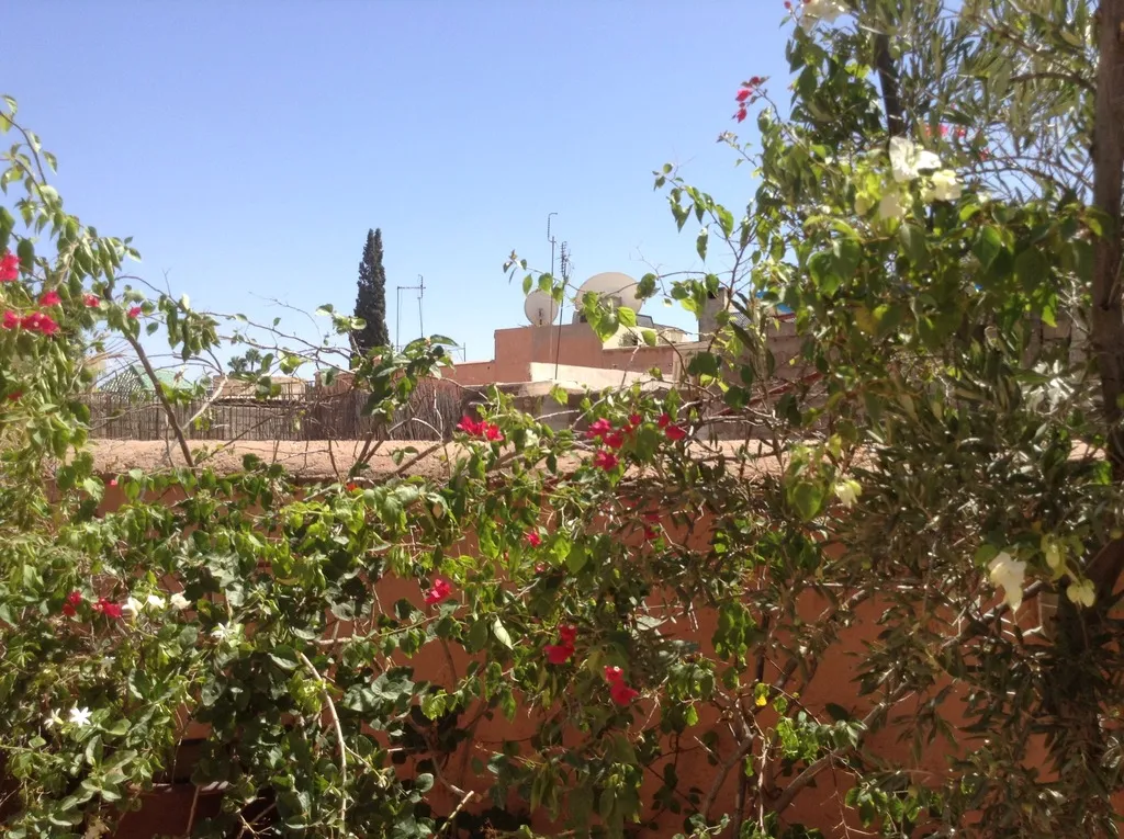 Terrace, Dar Zemrane, Marrakech