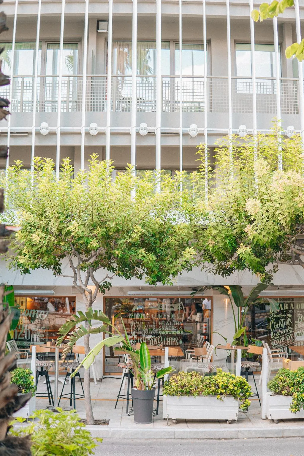 General view, Olive Green Hotel, Crete