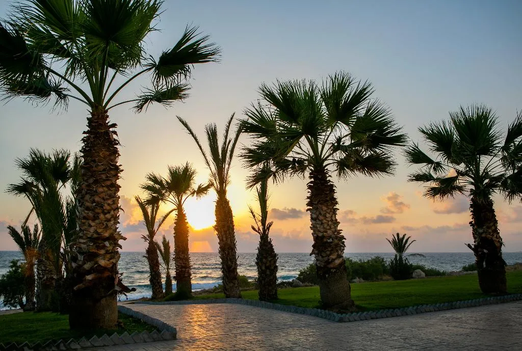 General view, Louis Paphos Breeze, Cyprus