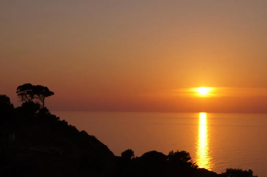 Terrace, Hotel Sa Coma, Majorca
