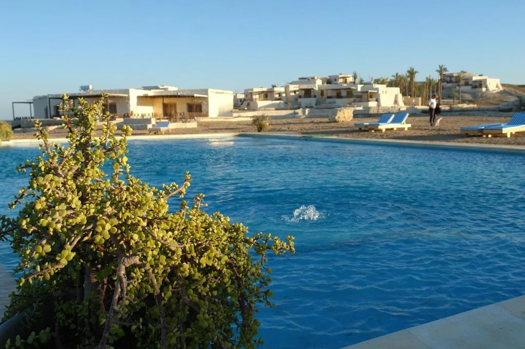 Sports and Entertainment, The Oasis Dive Resort, Red Sea Riviera