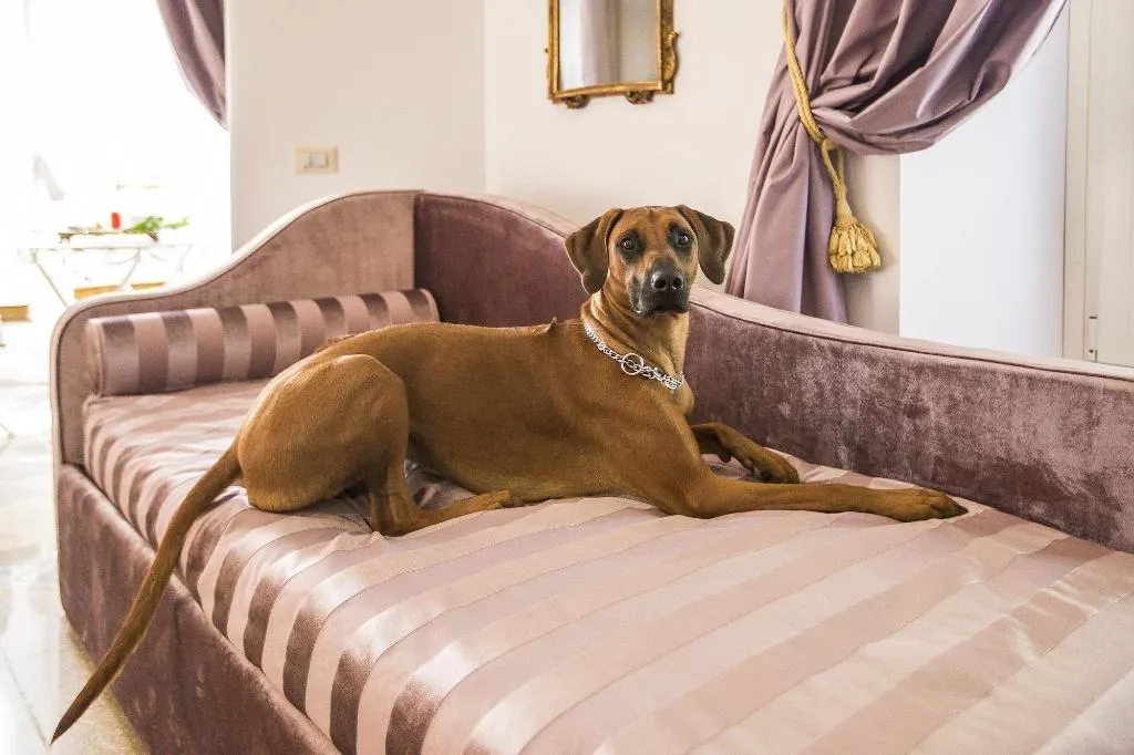 Room, Trastevere Royal Suite, Rome