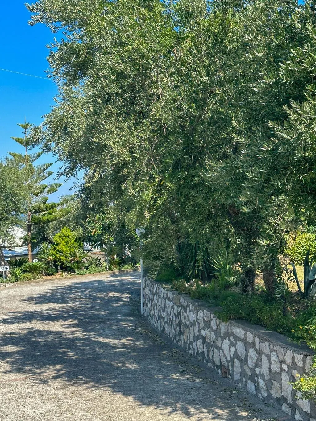 General view, Hotel Villa  Lubrense Sorrento, Naples