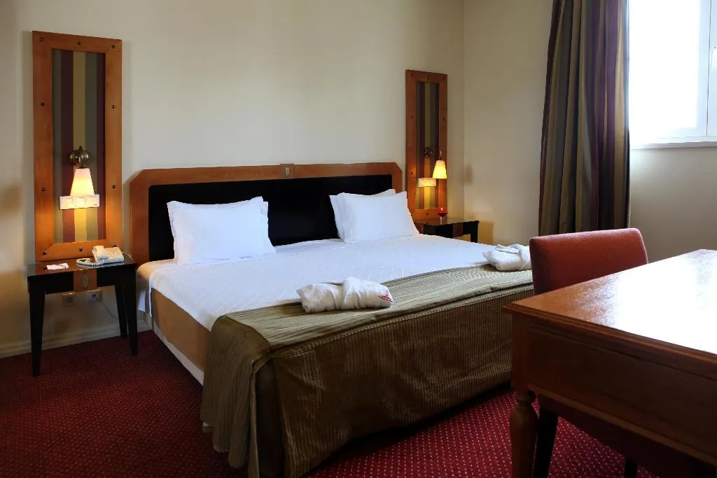 DOUBLE CAPACITY 2 Room, Hotel Termas da Curia, Porto