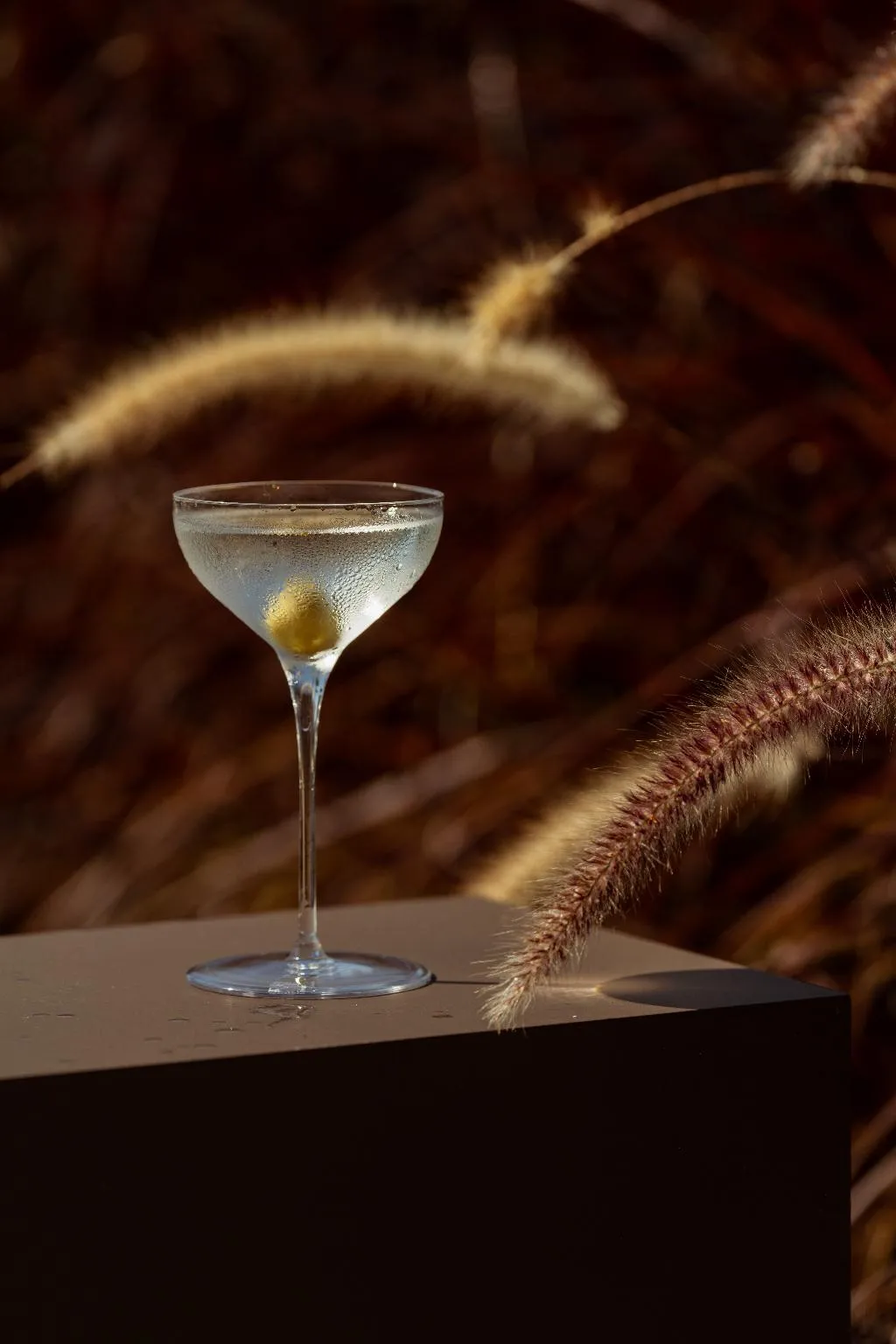 Bar, The Ritual Hotel And Wellness Retreat, Kos