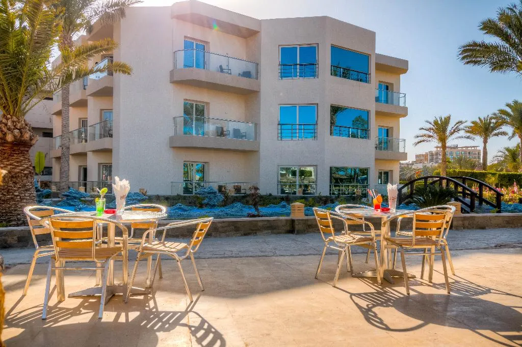 Bar, Seagull Beach Resort, Red Sea Riviera