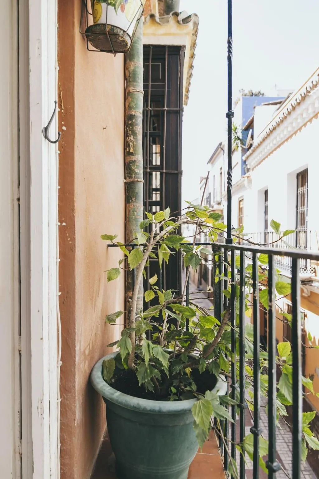Room, El Riad Andaluz, Costa Del Sol