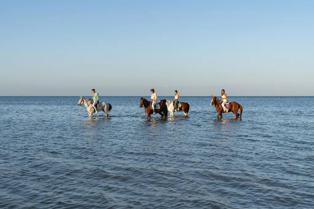 Sports and Entertainment, Ancient Sands Resort, Red Sea Riviera