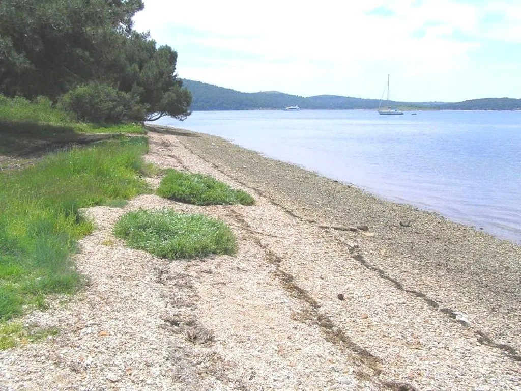Beach, Apartments Snjezana, Istria