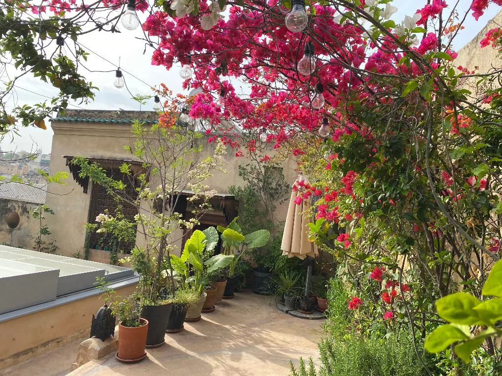Terrace, Dar 7 Louyat, Fez
