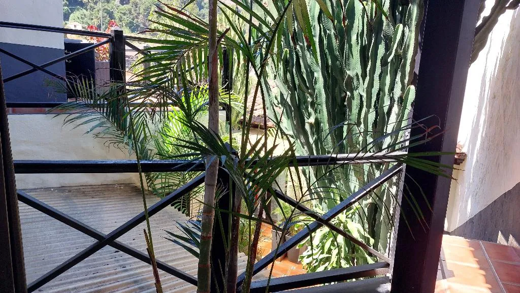 Conferences, Apartamentos Monasterio de San Antonio Only Adults, Tenerife