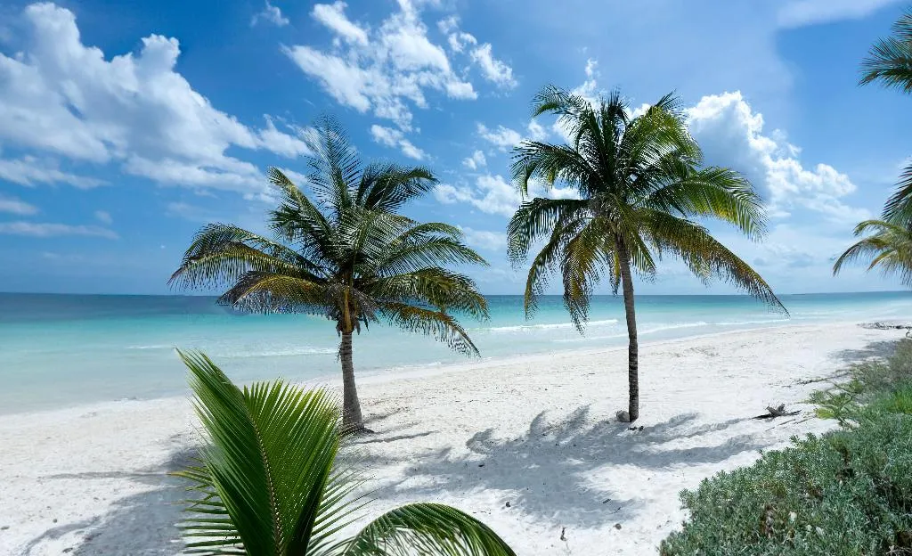 General view, Pocna Tulum Hote, Beach Clubs & Restaurants, Cancun Area