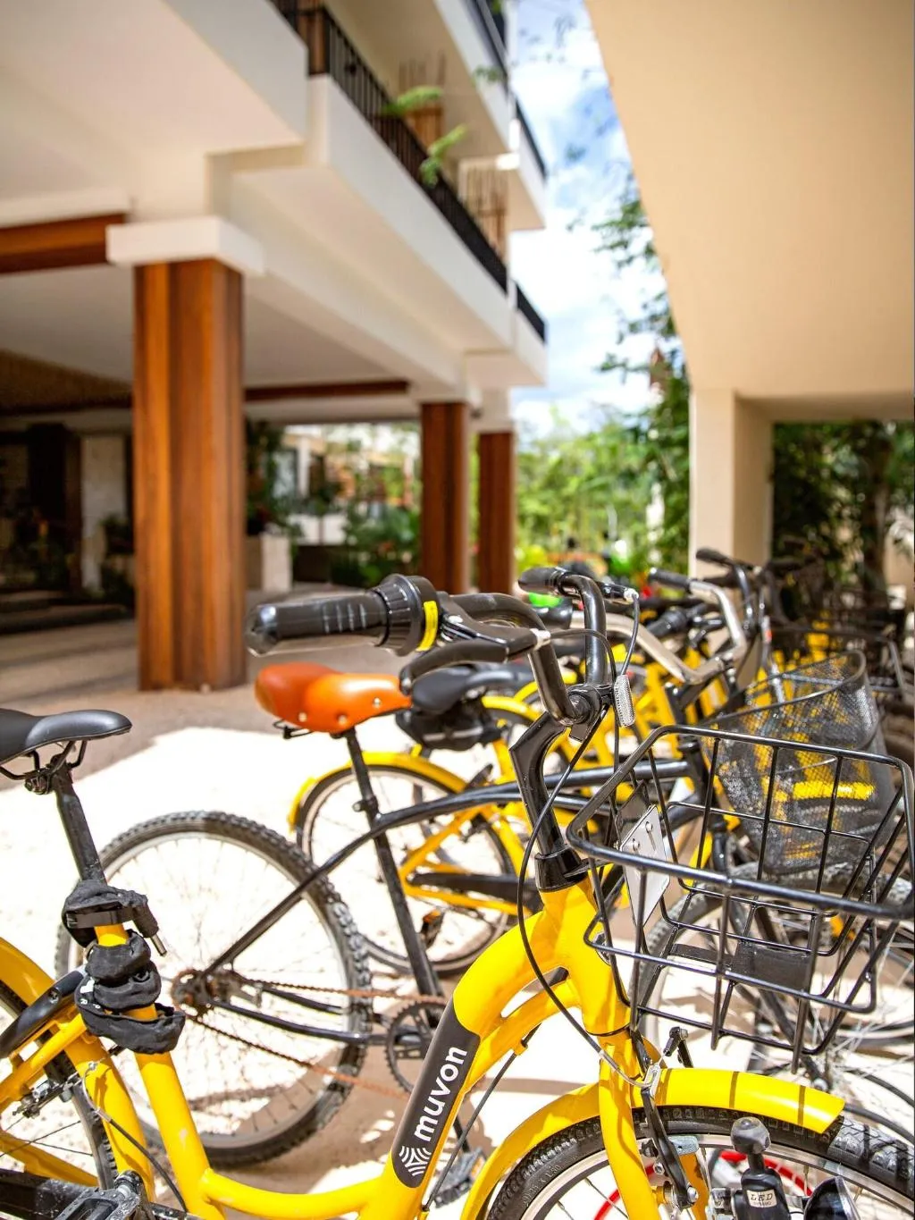 Sports and Entertainment, Naala Tulum, Cancun Area