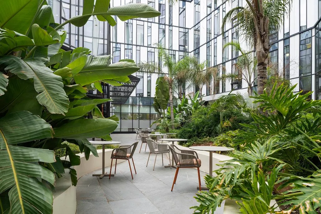 Terrace, Eurostars Casa Anfa, Casablanca