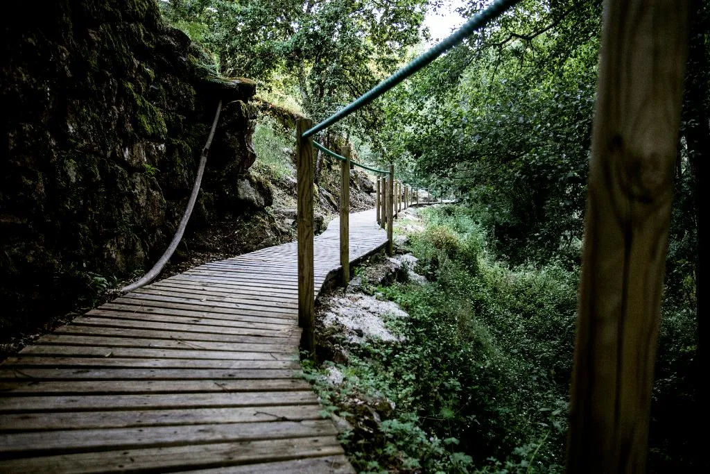 General view, Lavandeira Douro Nature and Wellness, Porto