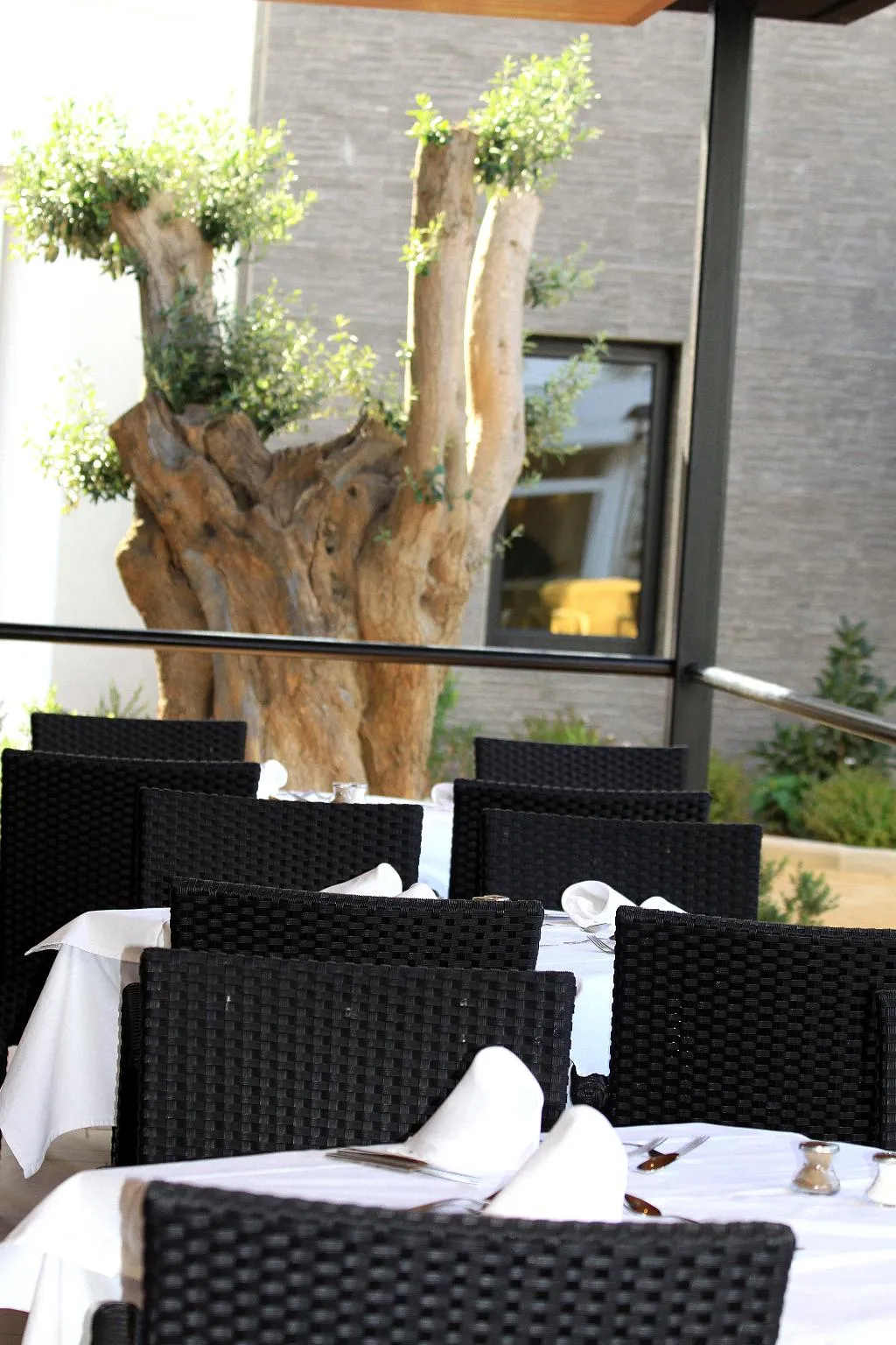 Restaurant, Protur Palmeras Playa Hotel, Majorca