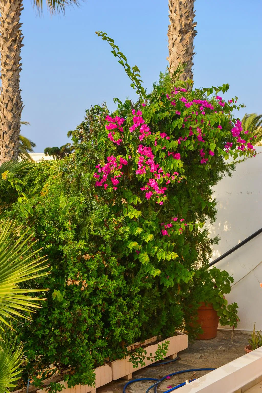 APARTMENT SUPERIOR TWO BEDROOMS Room, Golden Dream Apartments, Crete