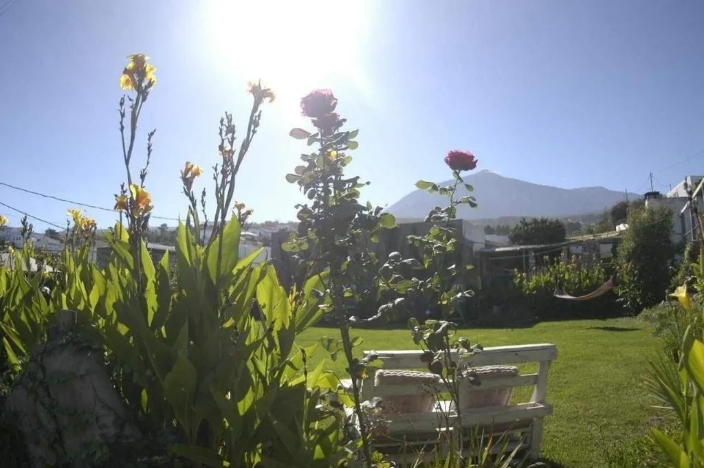 General view, Espacio Antares B&B, Tenerife