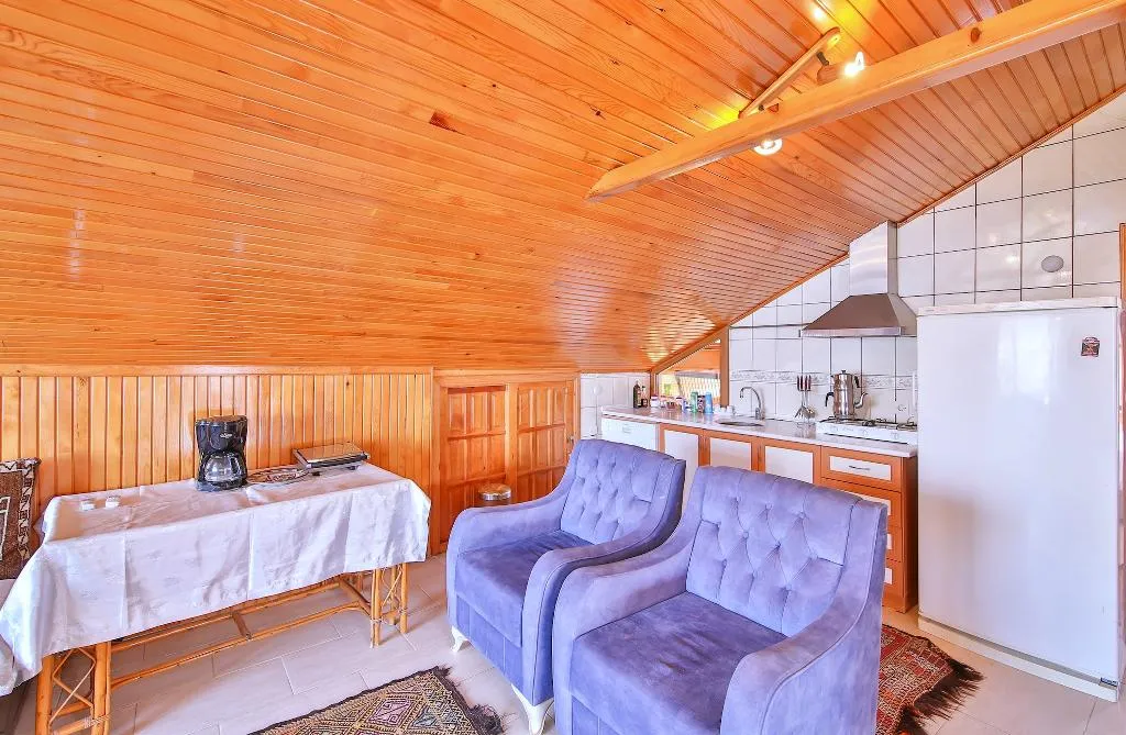 APARTMENT TWO BEDROOMS TWO BATHROOMS Room, Villa Dundar Apart Otel, Dalaman