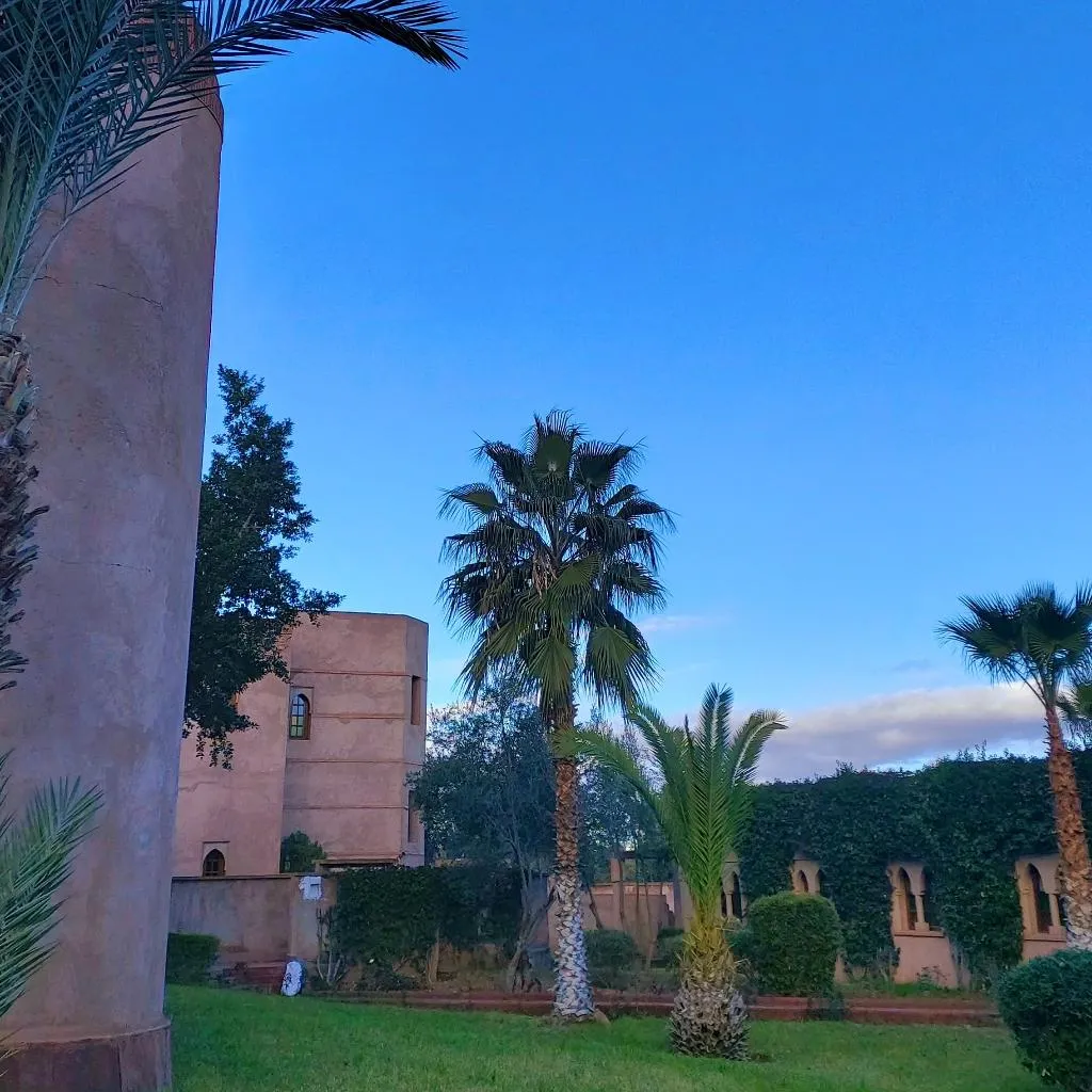 General view, Riad La Maison des Oliviers, Marrakech