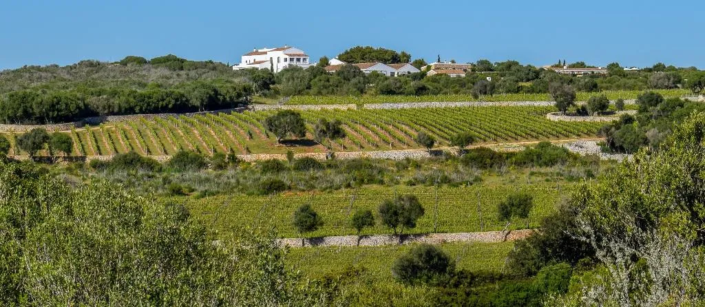 General view, Torralbenc, Menorca