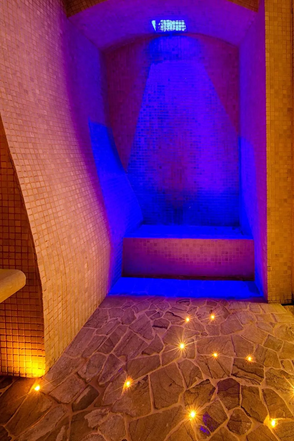Sports and Entertainment, Golden Tower Hotel & Spa, Florence