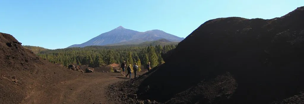 Sports and Entertainment, Drago Nest Hostel, Tenerife