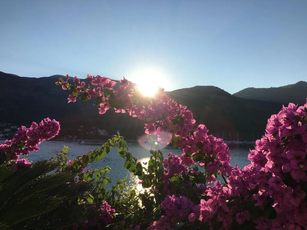 Terrace, Villa Almadria Luxury Bed & Breakfast Adults Only, Dubrovnik
