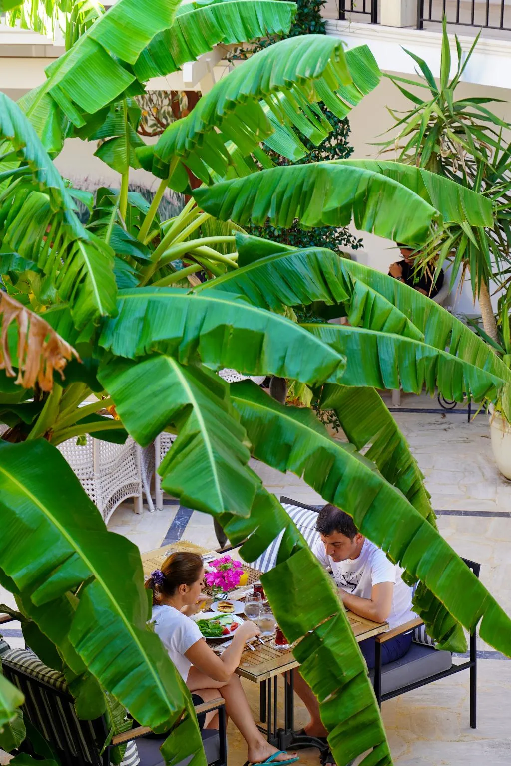 Restaurant, Torbahan Hotel, Bodrum