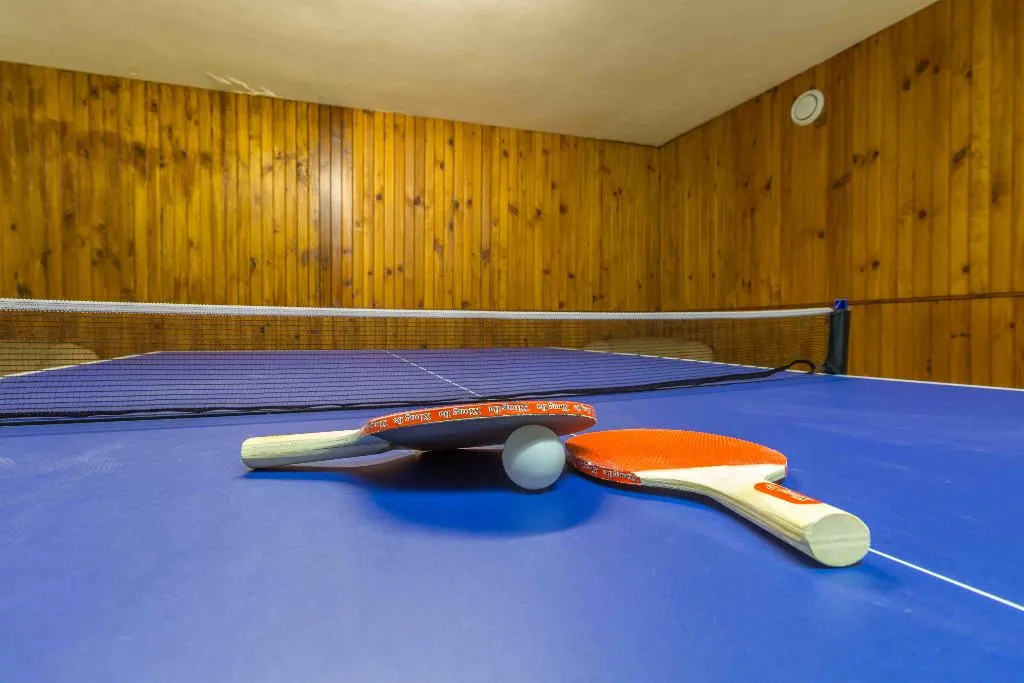 Sports and Entertainment, Eurosol Seia-Camelo, Porto