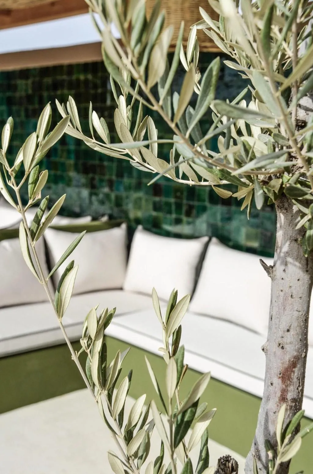 Terrace, Riad Bab 54, Marrakech