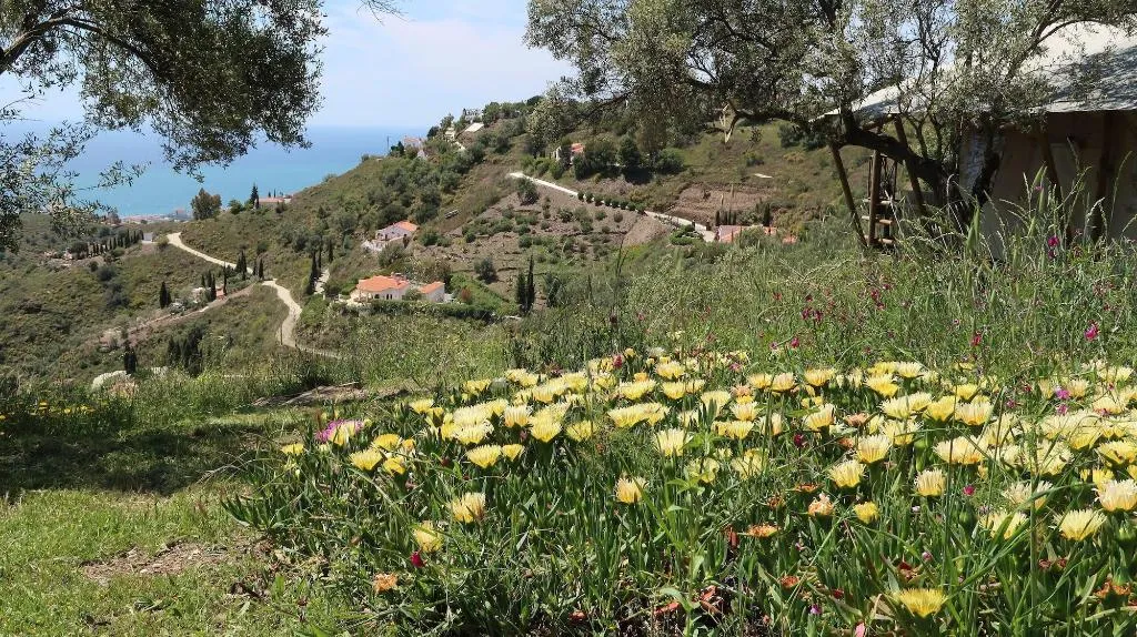 General view, Campo Agave - Boutique B&B en Glamping, Costa Del Sol