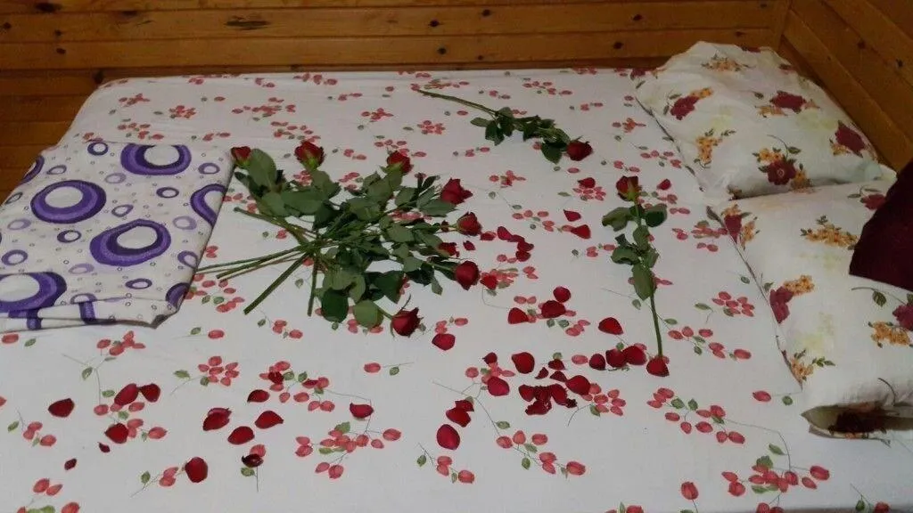 Room, Camlik Pansiyon, Antalya