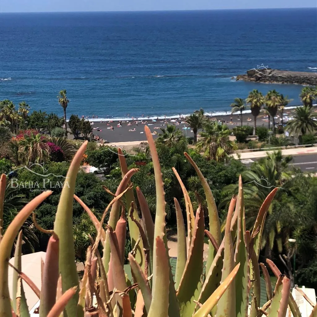General view, Bahia Playa, Tenerife
